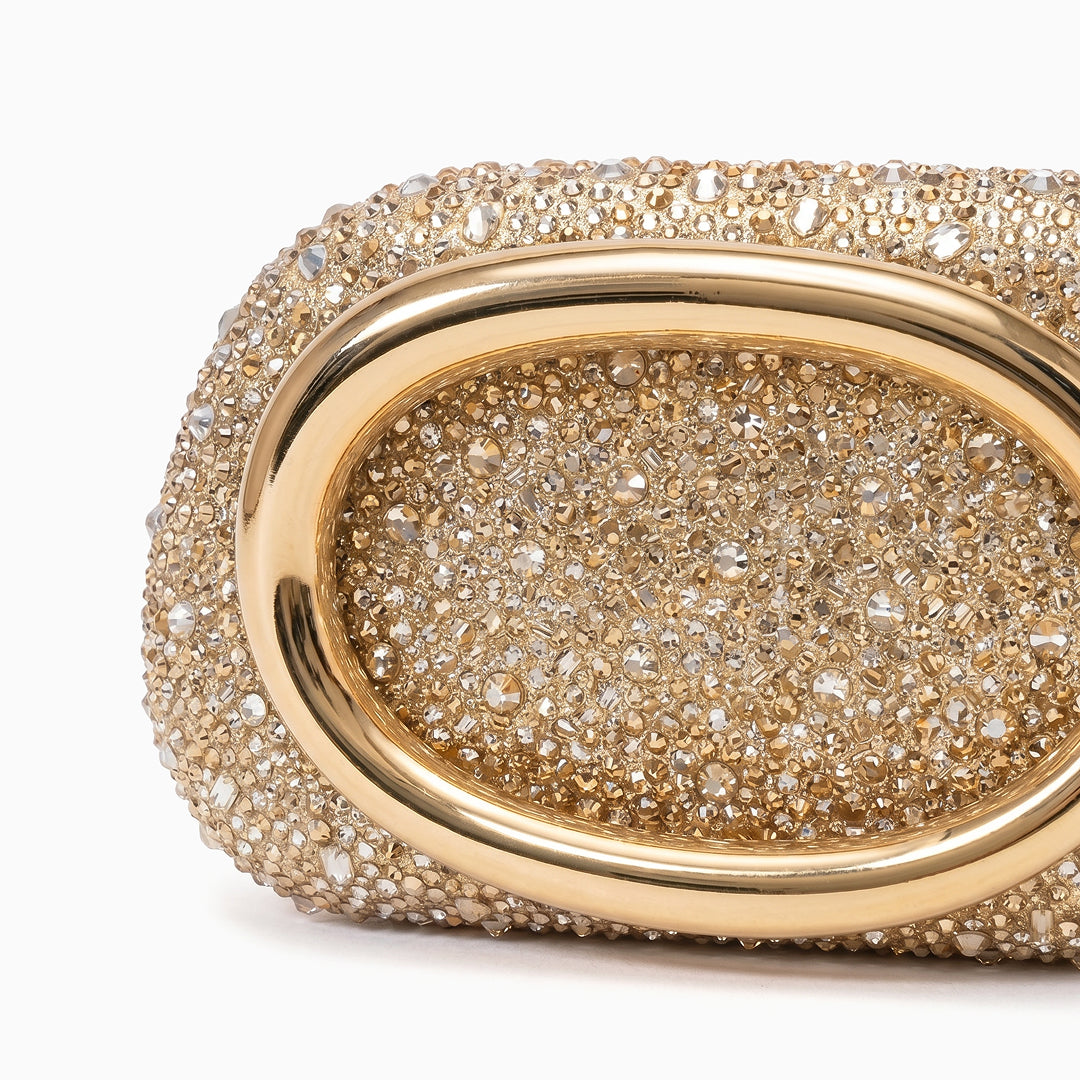 Evelisse Evening Bag